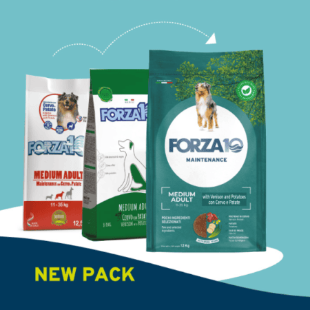 FORZA10 Medium Adult su elniena ir bulvėmis